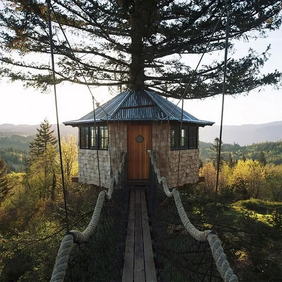 hut3