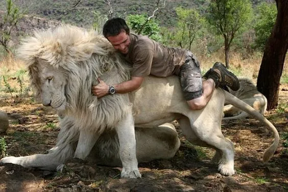 lionwhisp