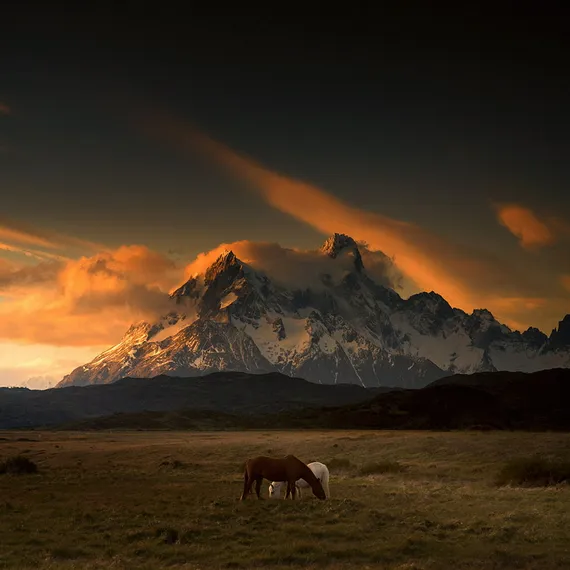 patagoni 1
