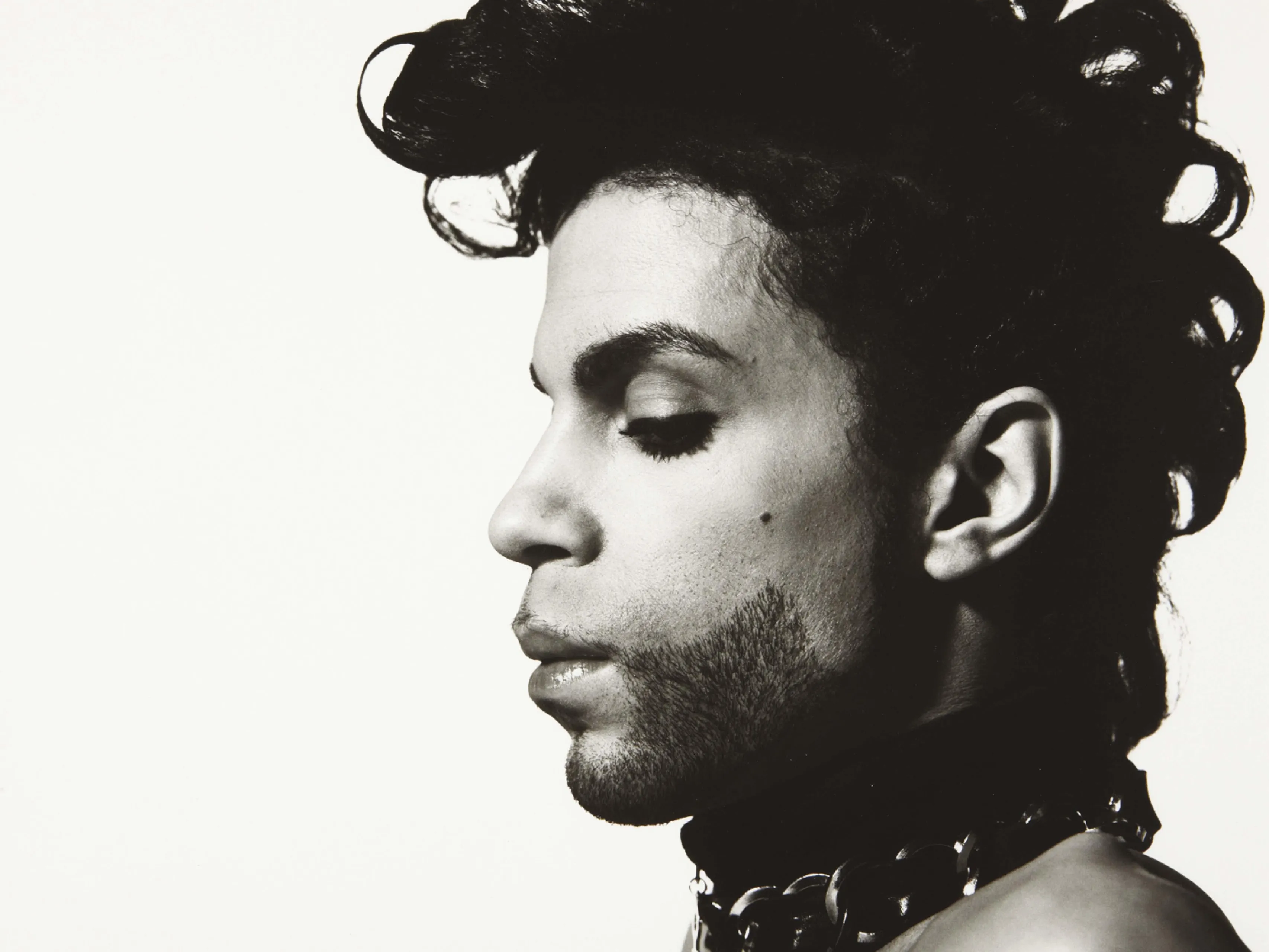 prince500 1