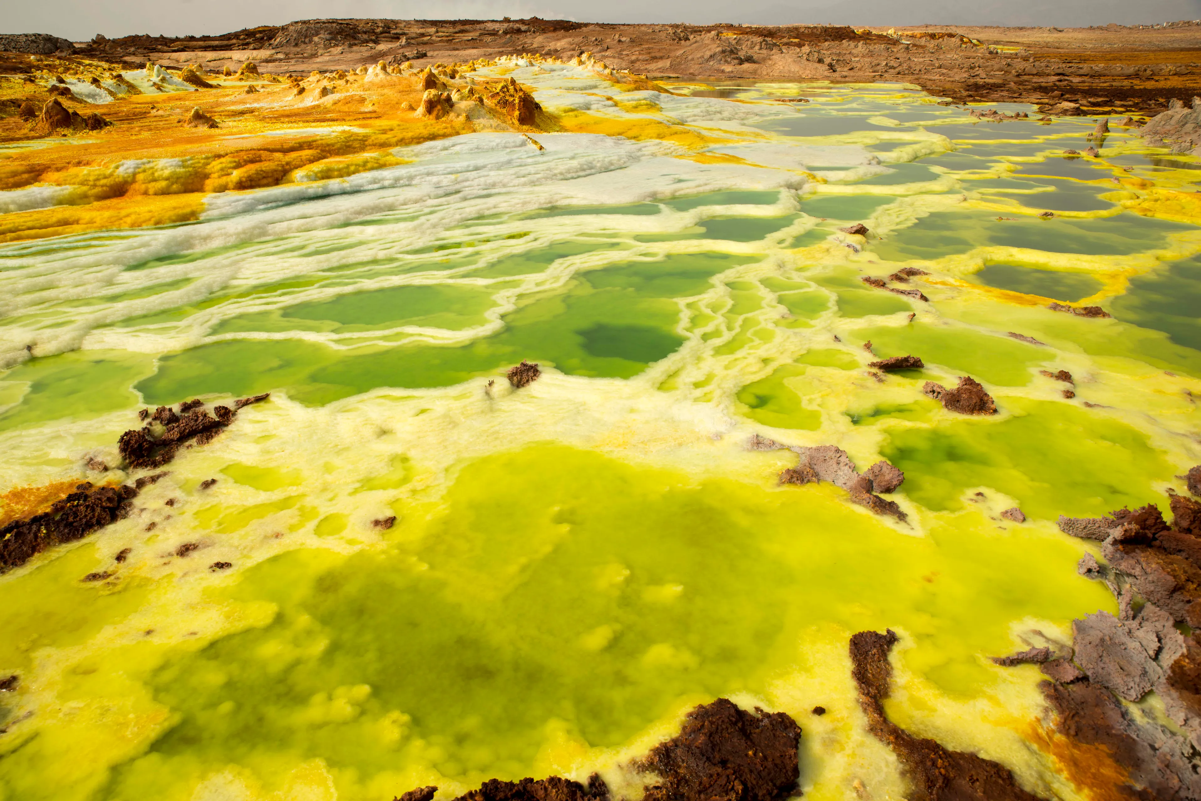 sur la iri ethiopie danakil2