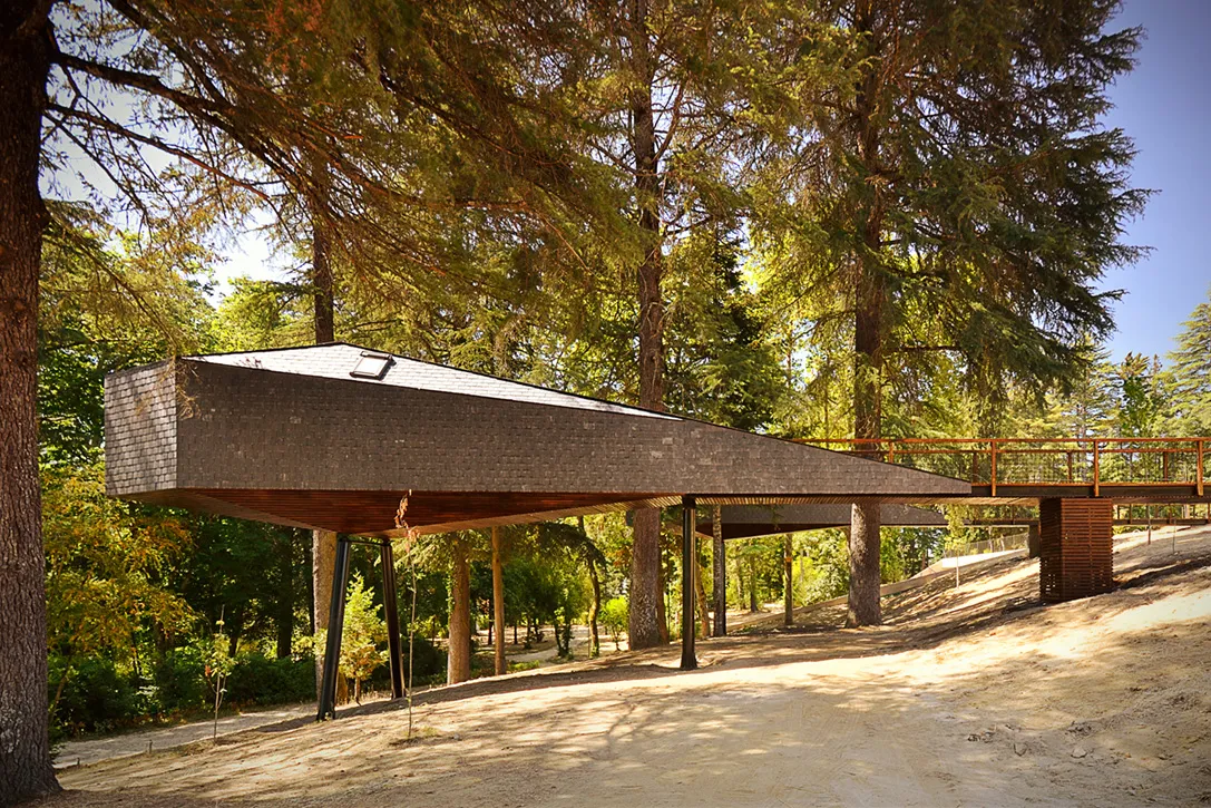 tree snake houses