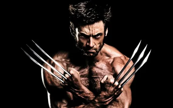 wolverine 3