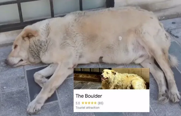 boulder