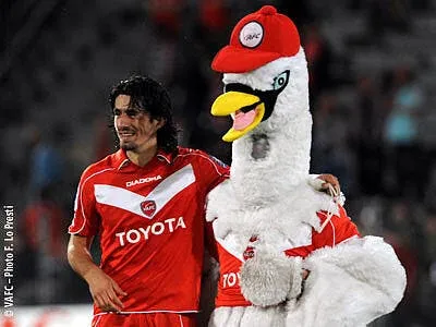 bisevac le mans et sochaux notre ligue des champions 11941