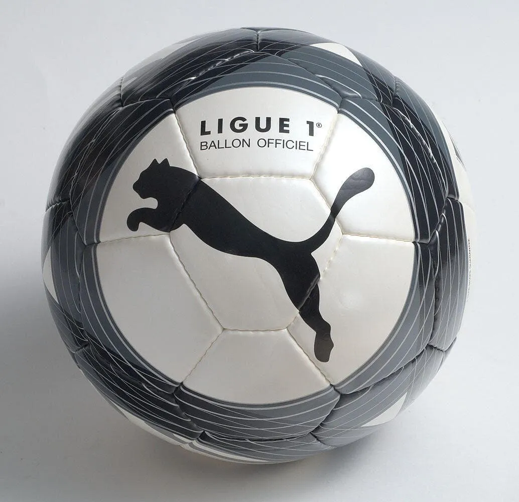 la ligue 1 a son ballon unique 28826