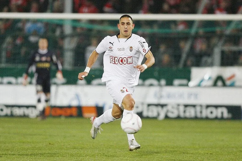 licata ricardo n est pas fautif 16985