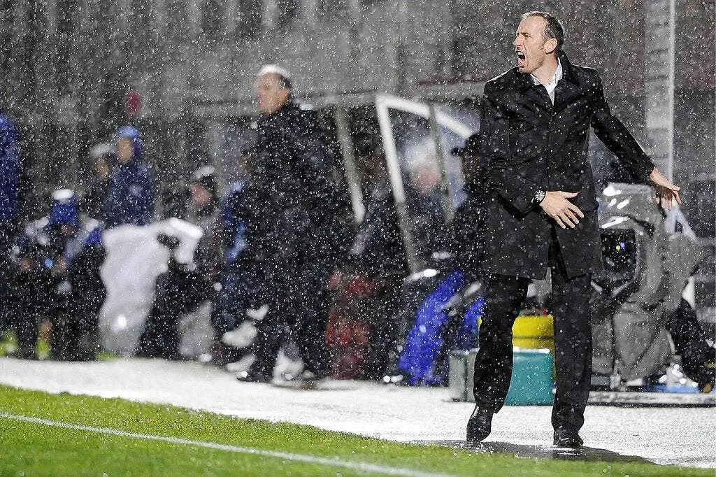 roy et la passion du boxing day 64797 13478