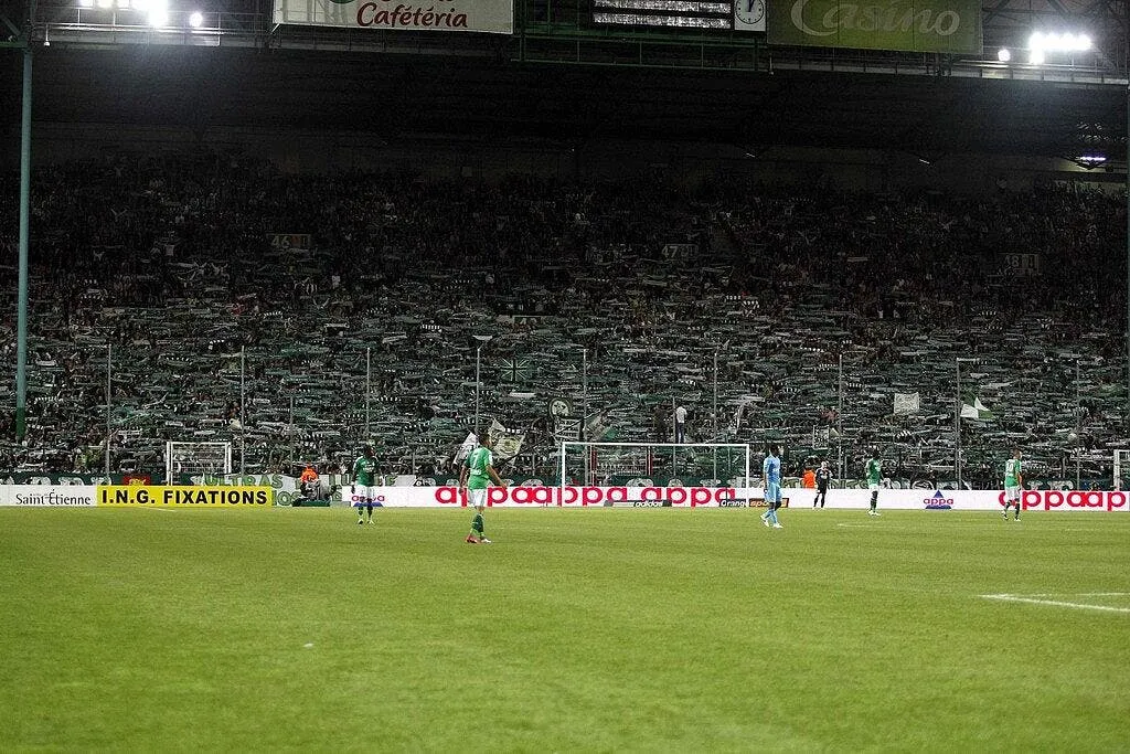 tigana est heureux pour les verts 61535 11231