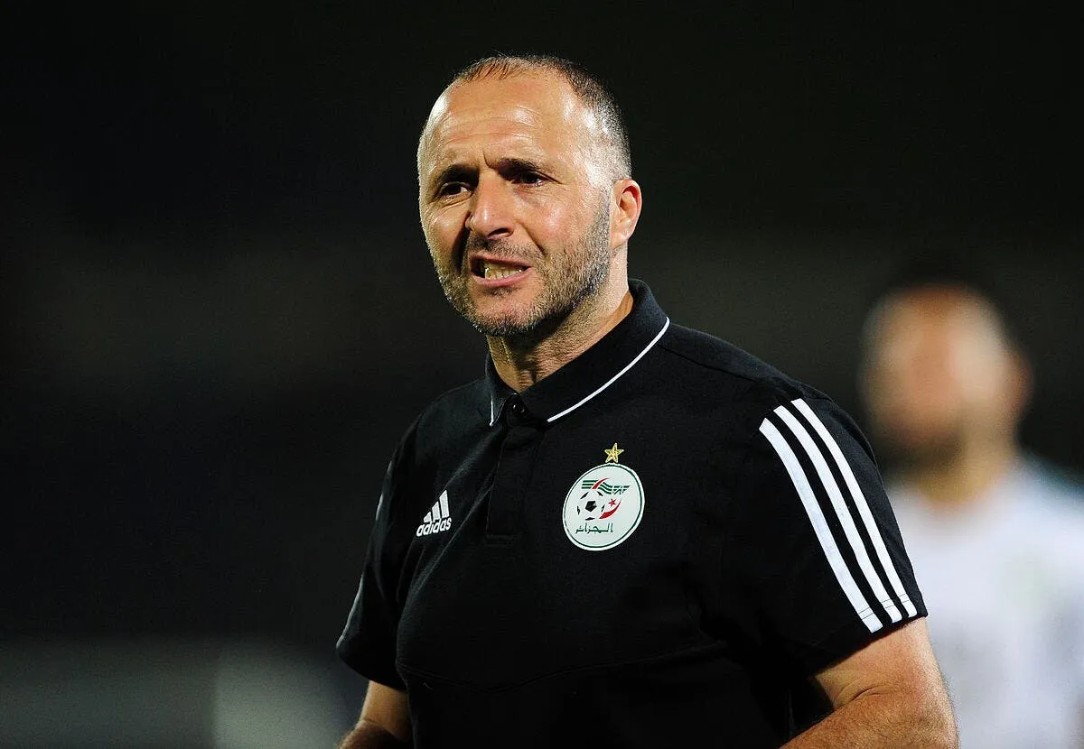 algerie belmadi tire le signal d alarme icon 44028369 311241