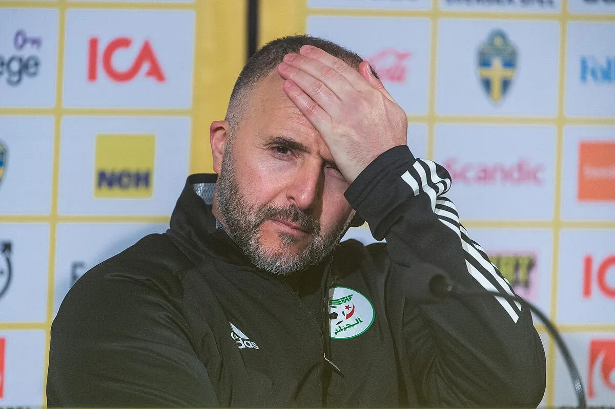 belmadi accepte un defi surhumain pour l algerie belmadi 3 360572