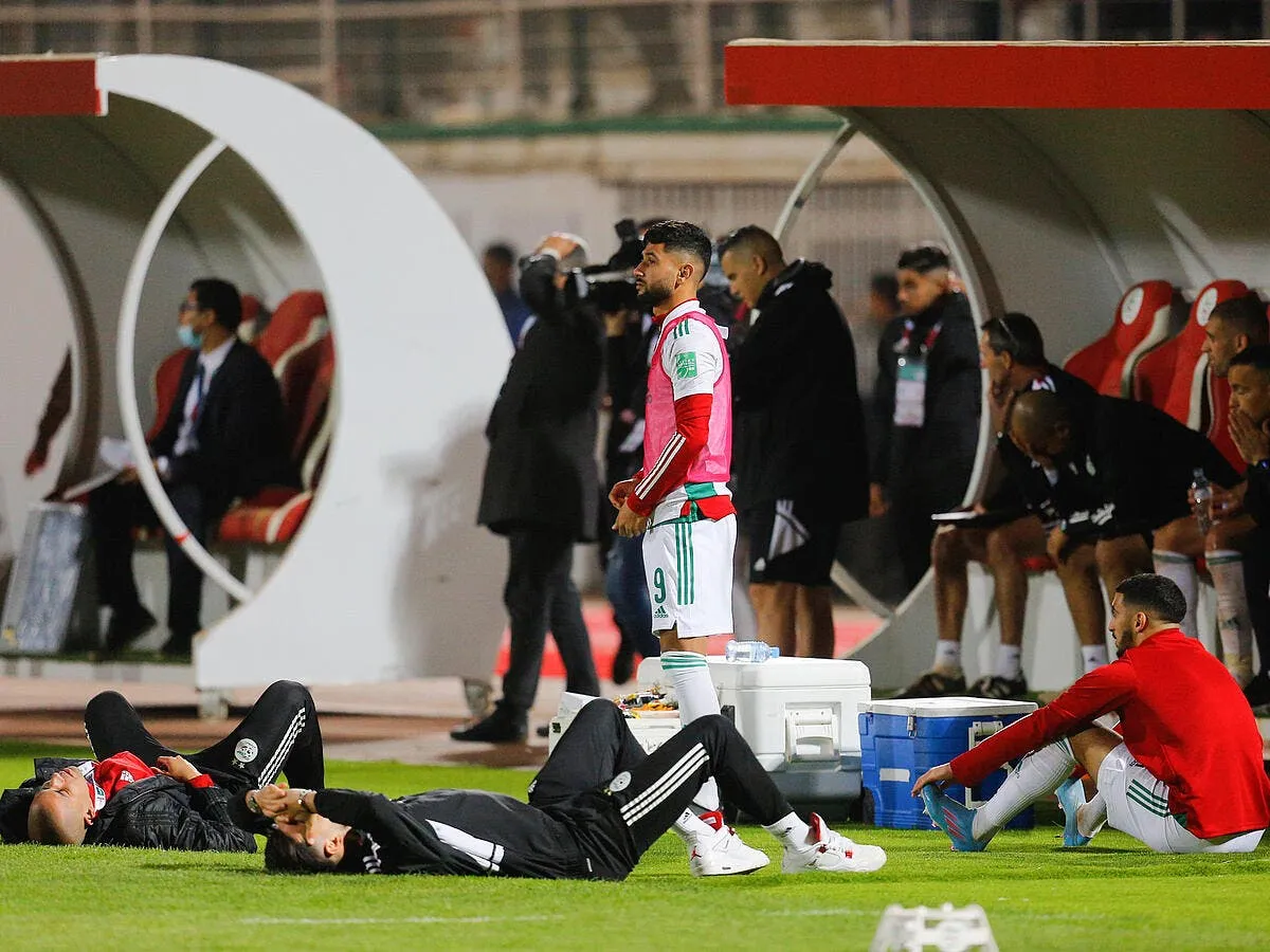 belmadi maintenu l algerie veut imiter la france icon 66125702 337951