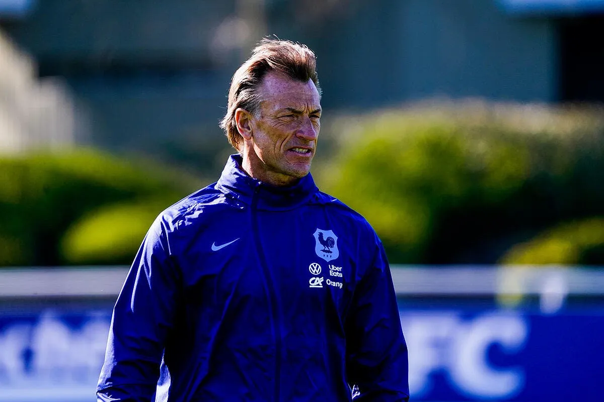 edf riolo deterre un dossier sur herve renard icon ruh 030423 11 06 358938