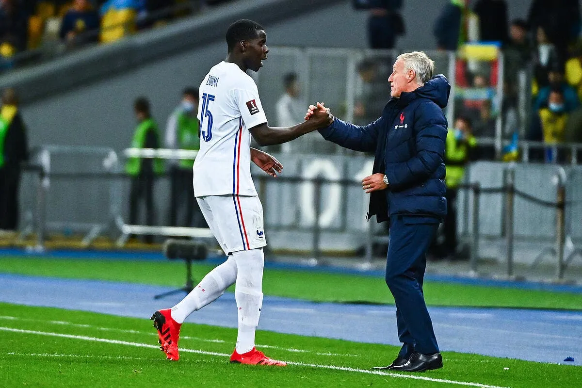 edf zouma snobe par deschamps tout sauf une histoire de chats icon dib 040921 10 274 337007
