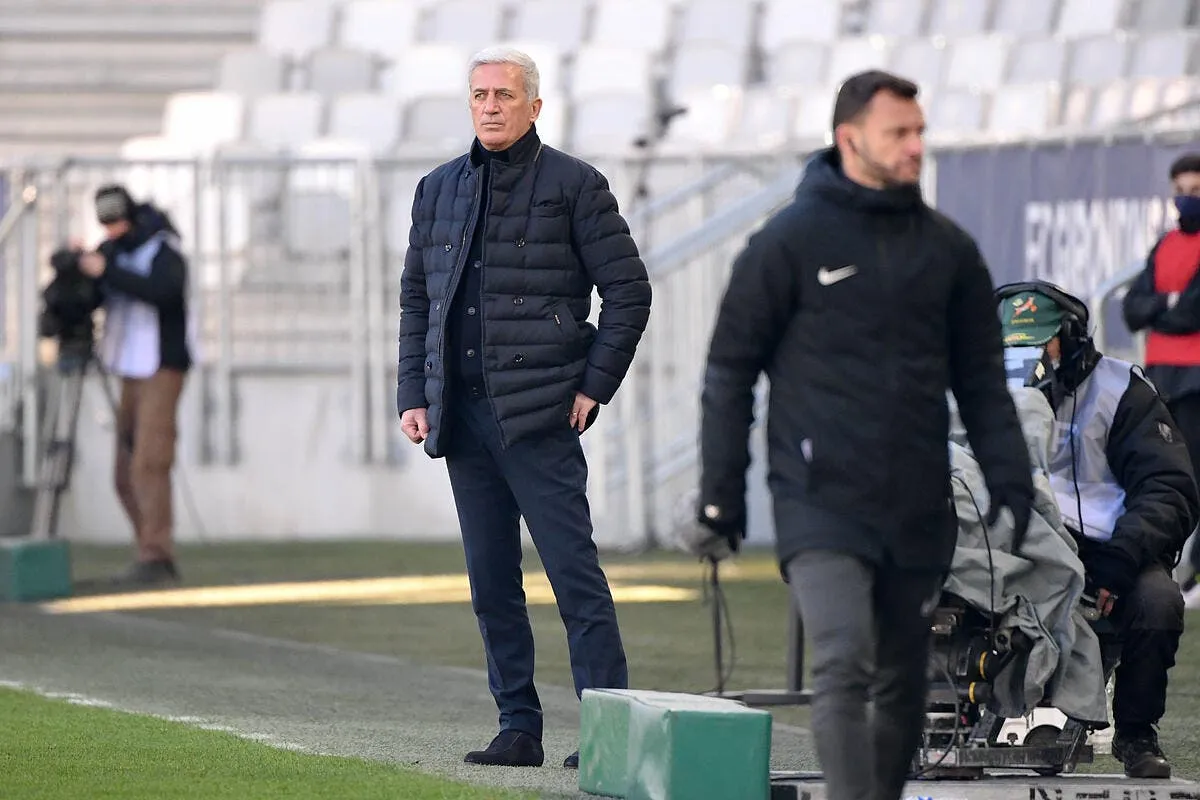 fcgb les ultras reclament la tete de petkovic demande acceptee icon 024008 0213 334179