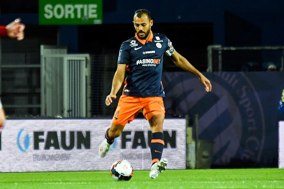 l1 montpellier pousse poliment hilton a la retraite icon brest204 316087