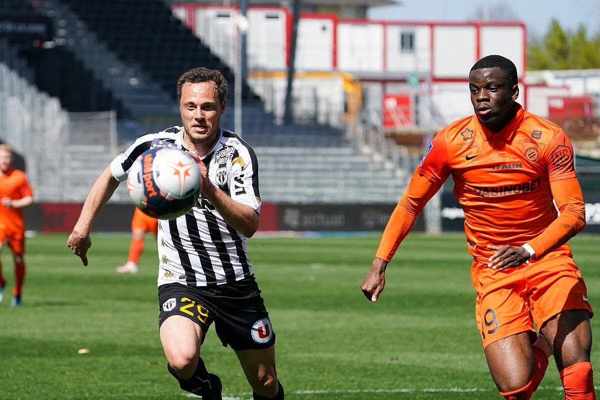 l1 montpellier vendange angers sauve un point icon elscomhsc 061 310797