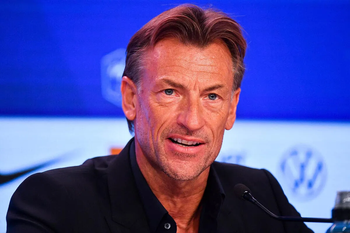la france prend cher herve renard dechire l equipe renard 4 365506