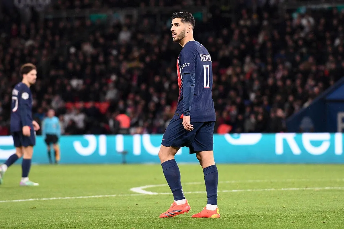 le plus beau palmares du psg cire le banc c est l incomprehension icon pl2 4205 369588