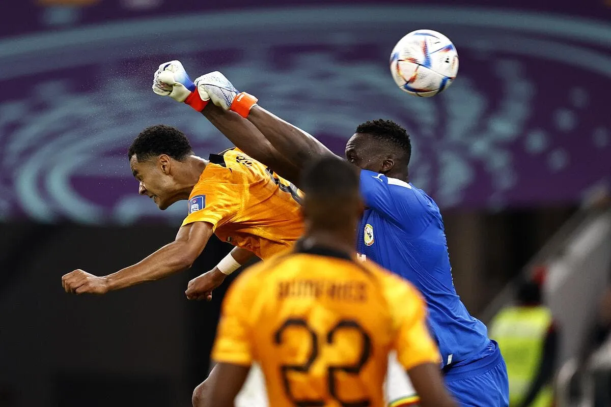 les pays bas font pleurer le senegal icon 458171964 353796