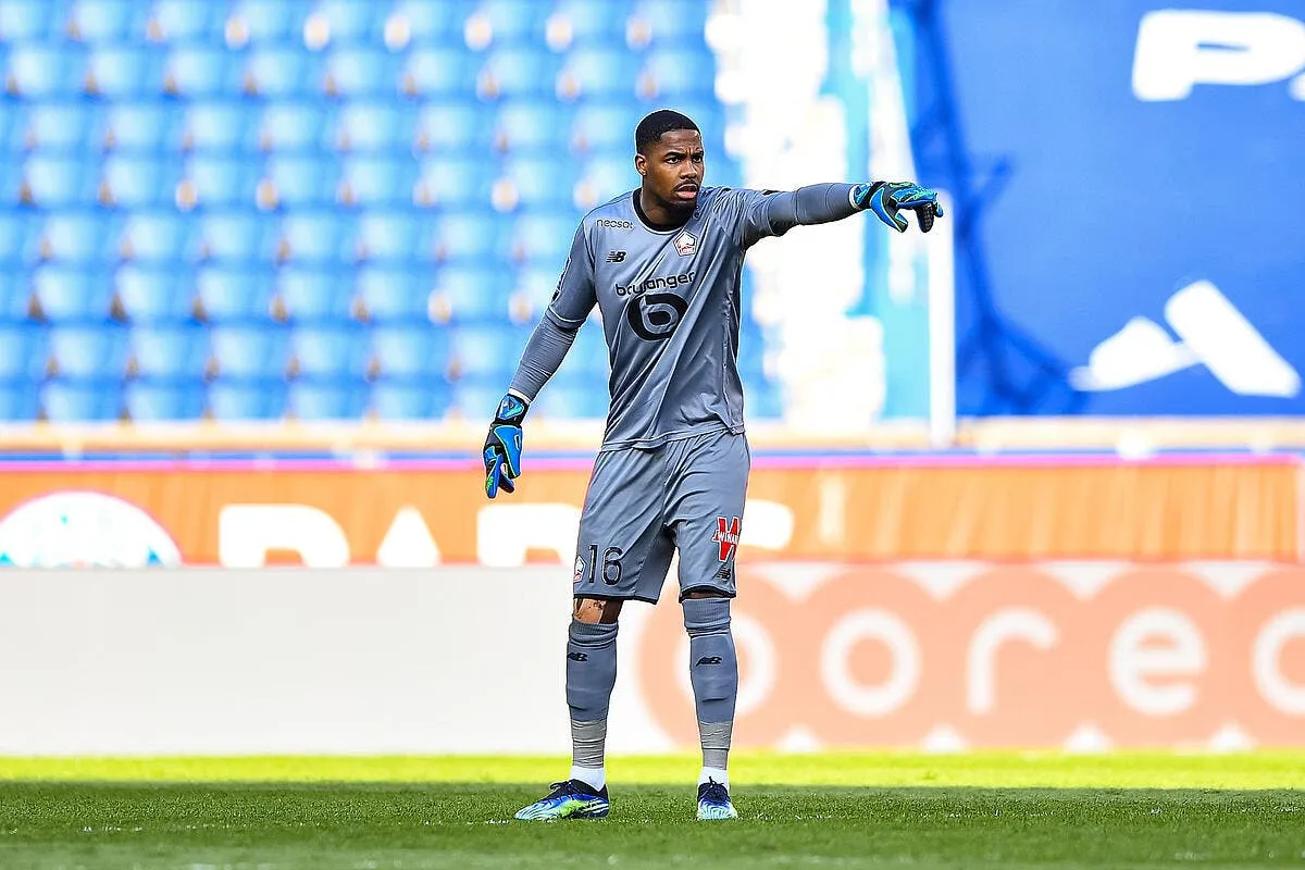 losc le prix cadeau de maignan affole les clubs europeens maignan 2 311277