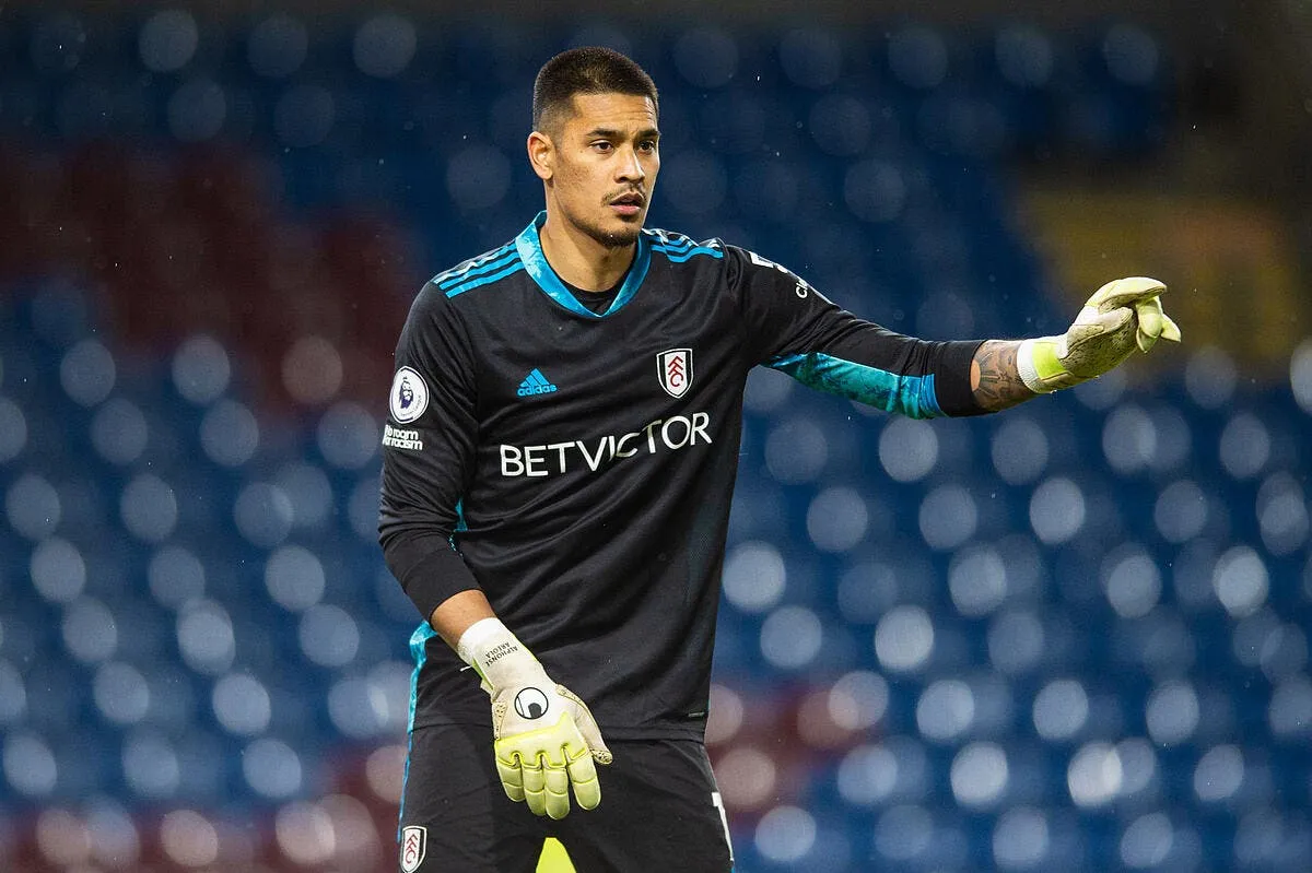 psg paris a trouve une place pour areola areola 20 318639