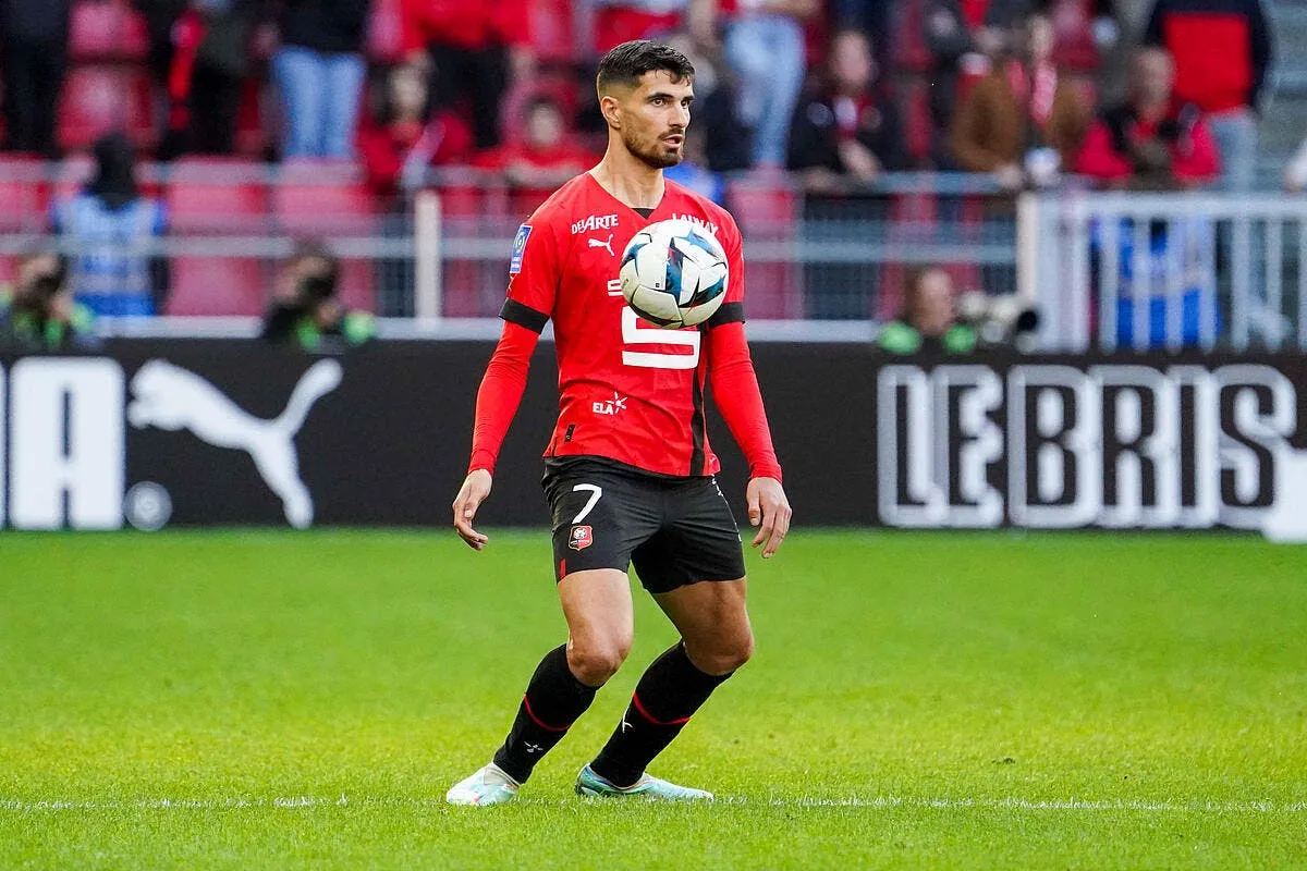 terrier prive de mondial l ol a plombe ses chances terrier 9 353006