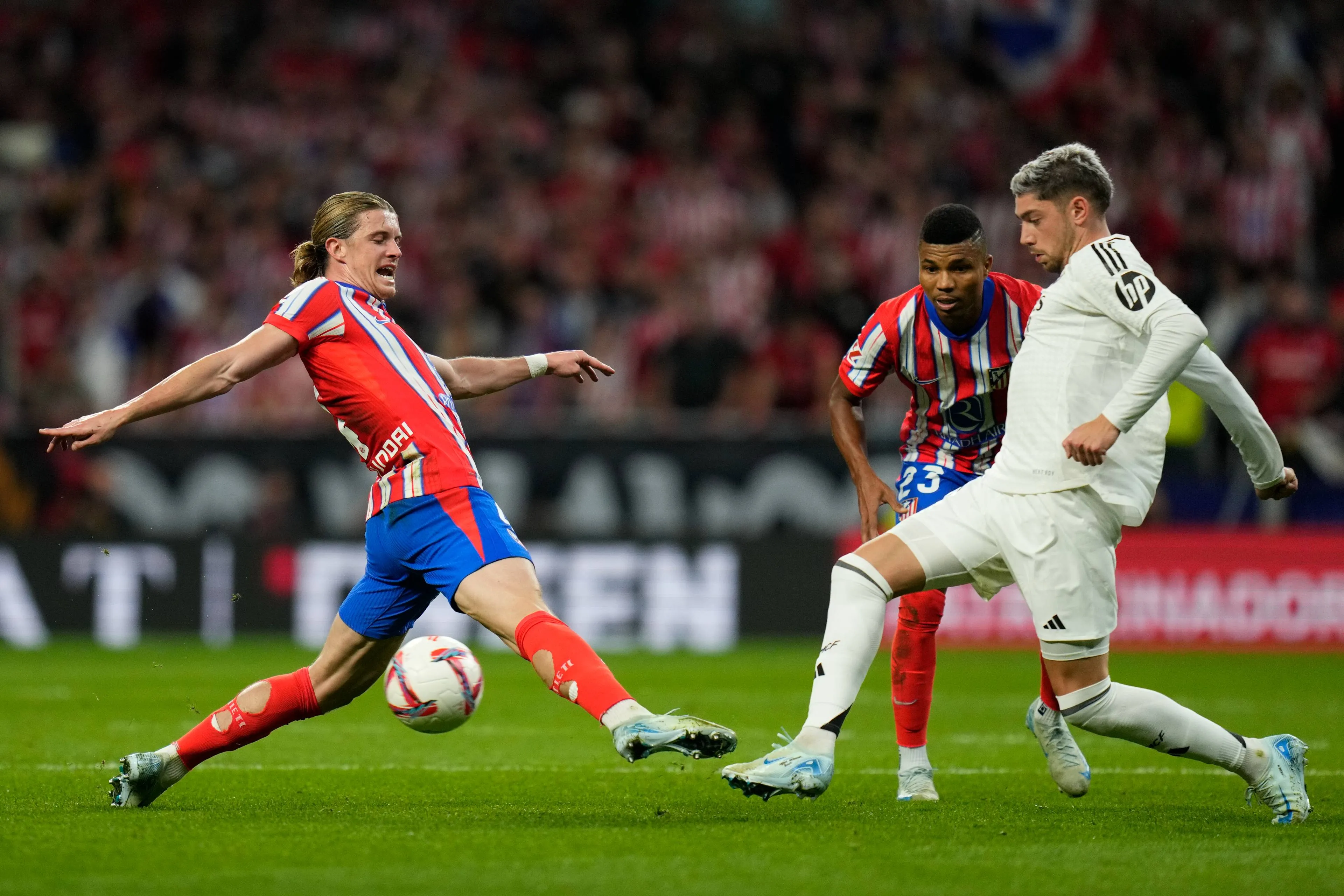 ICONSPORT_240566_0010