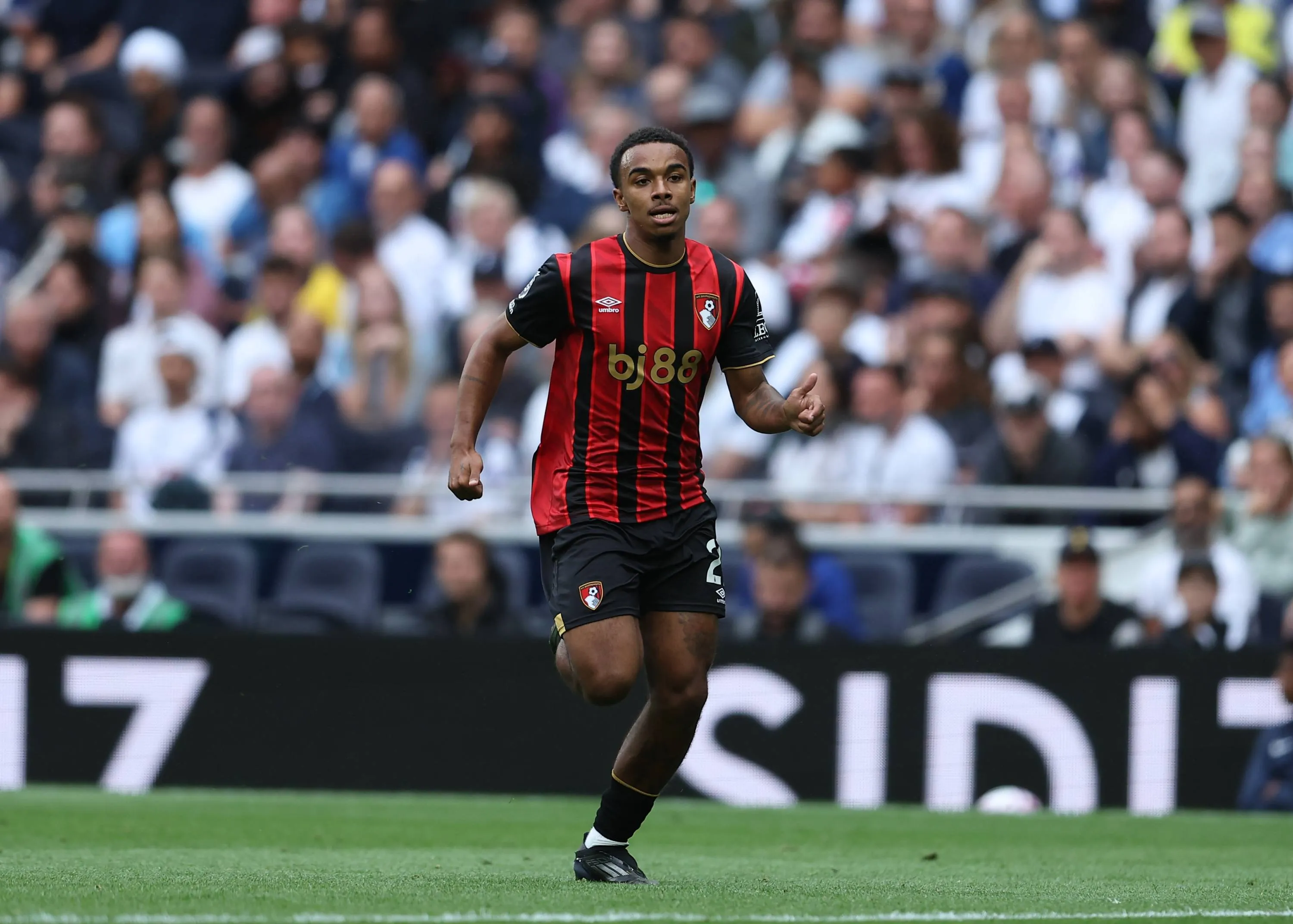 ICONSPORT_268482_0008