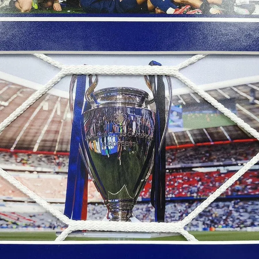 le psg vend le filet du but de la finale c est un enorme carton filet 396270