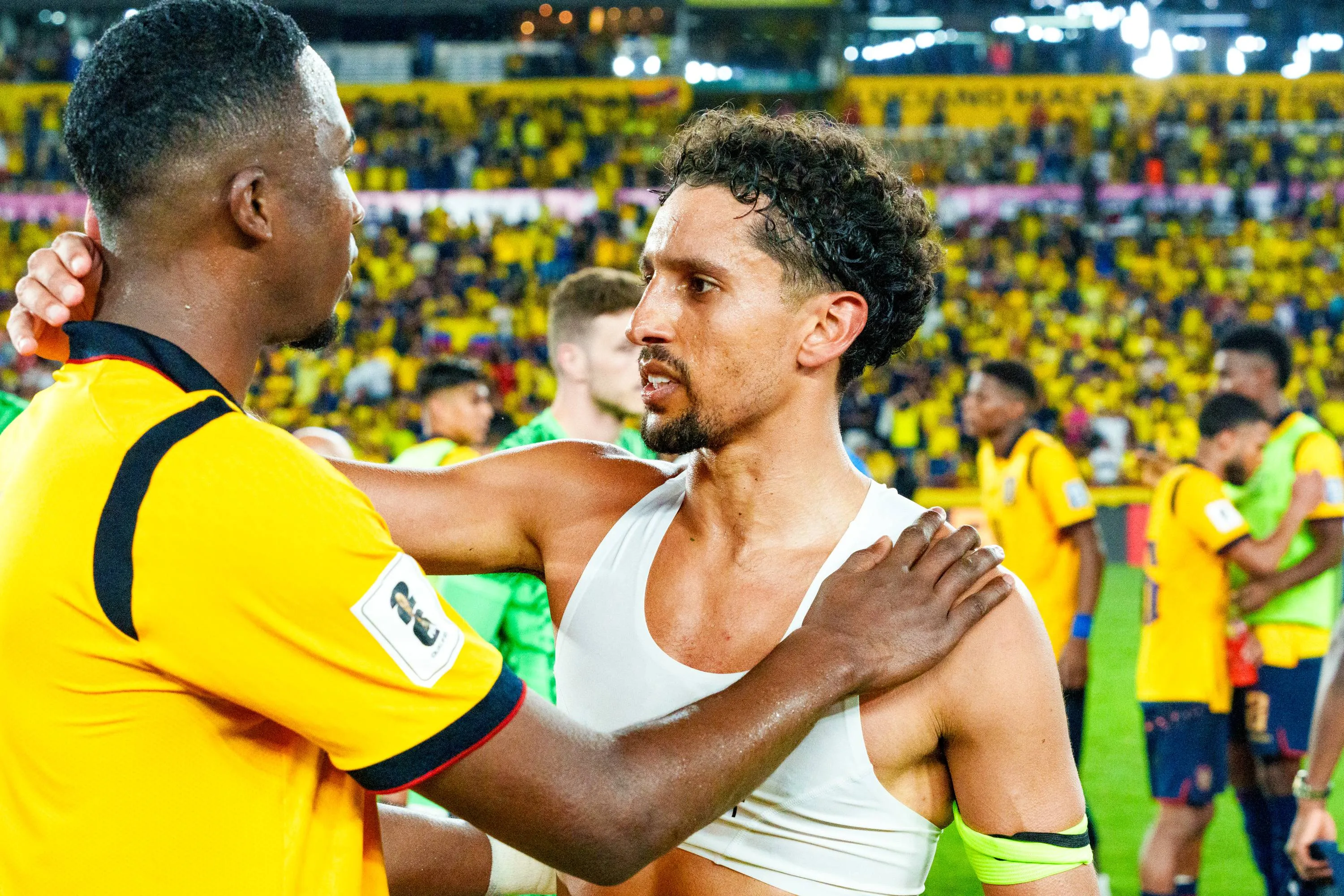 ICONSPORT_261800_0054