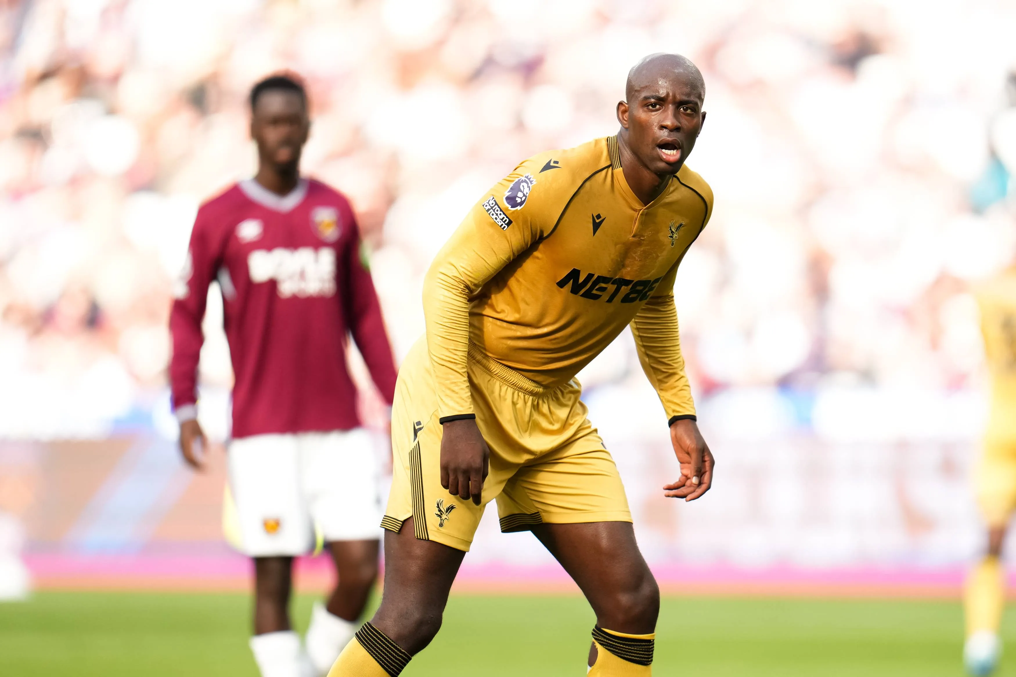 ICONSPORT_271342_0212