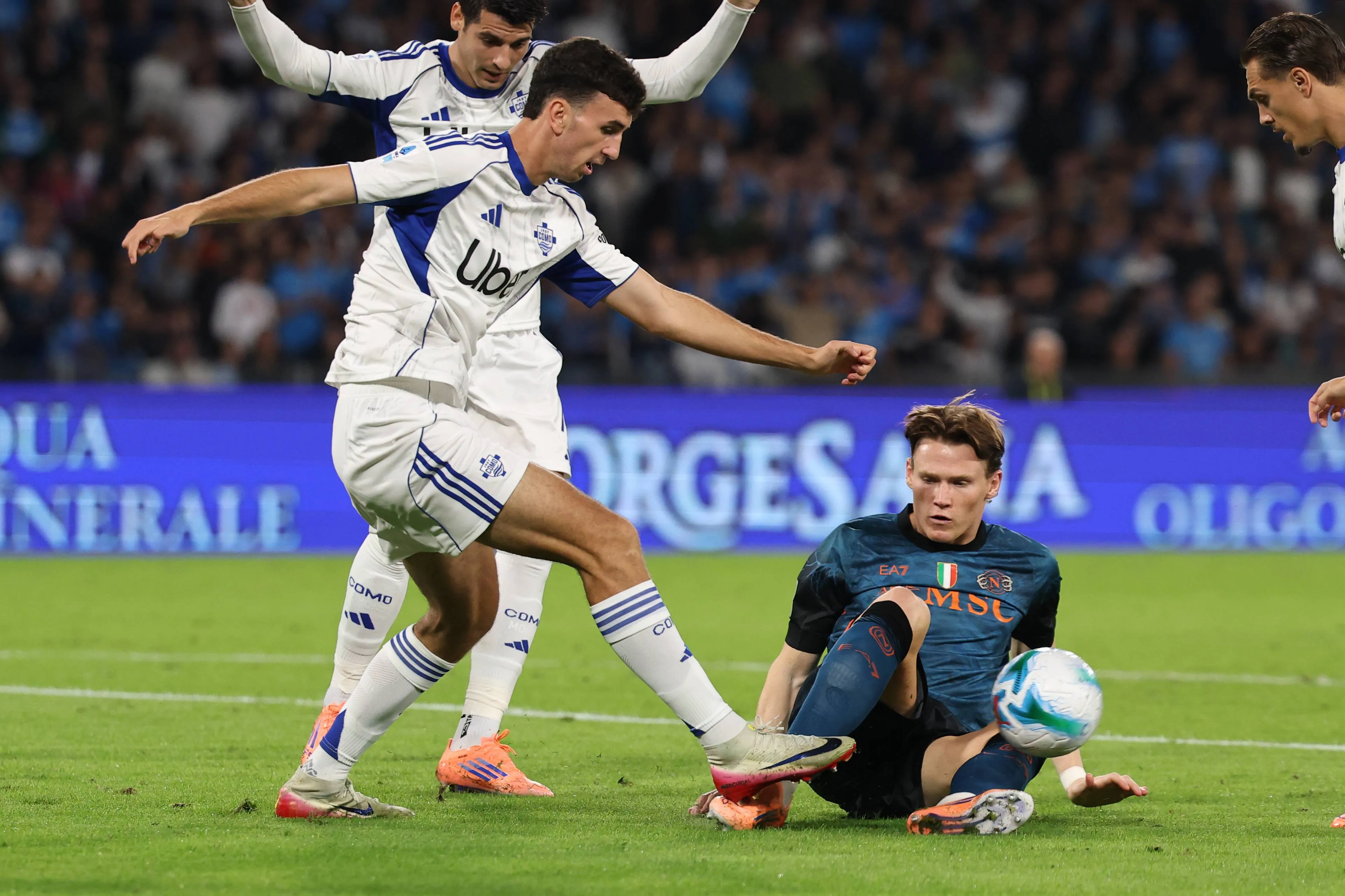 ICONSPORT_275797_0014