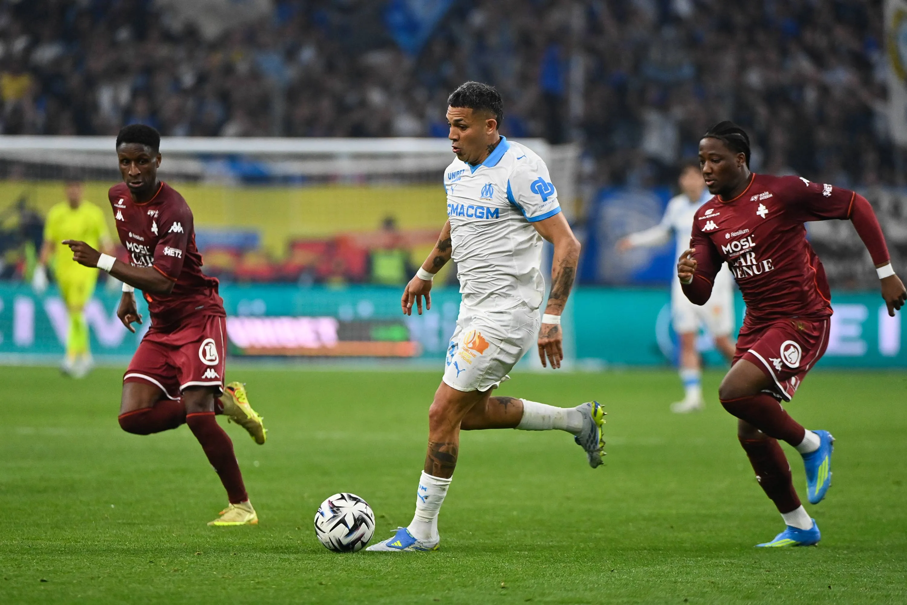 ICONSPORT_364024_0203