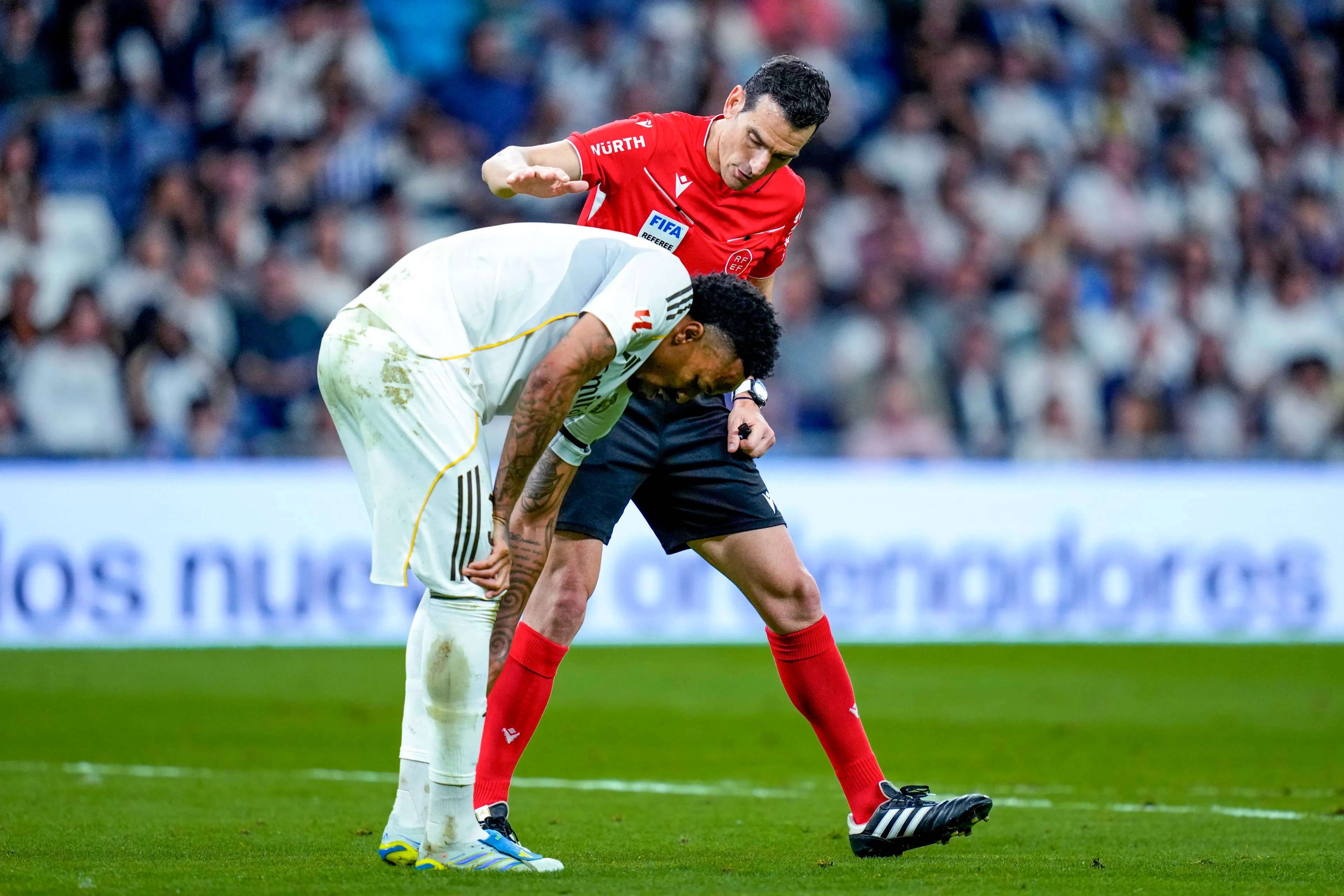 ICONSPORT_364821_0063