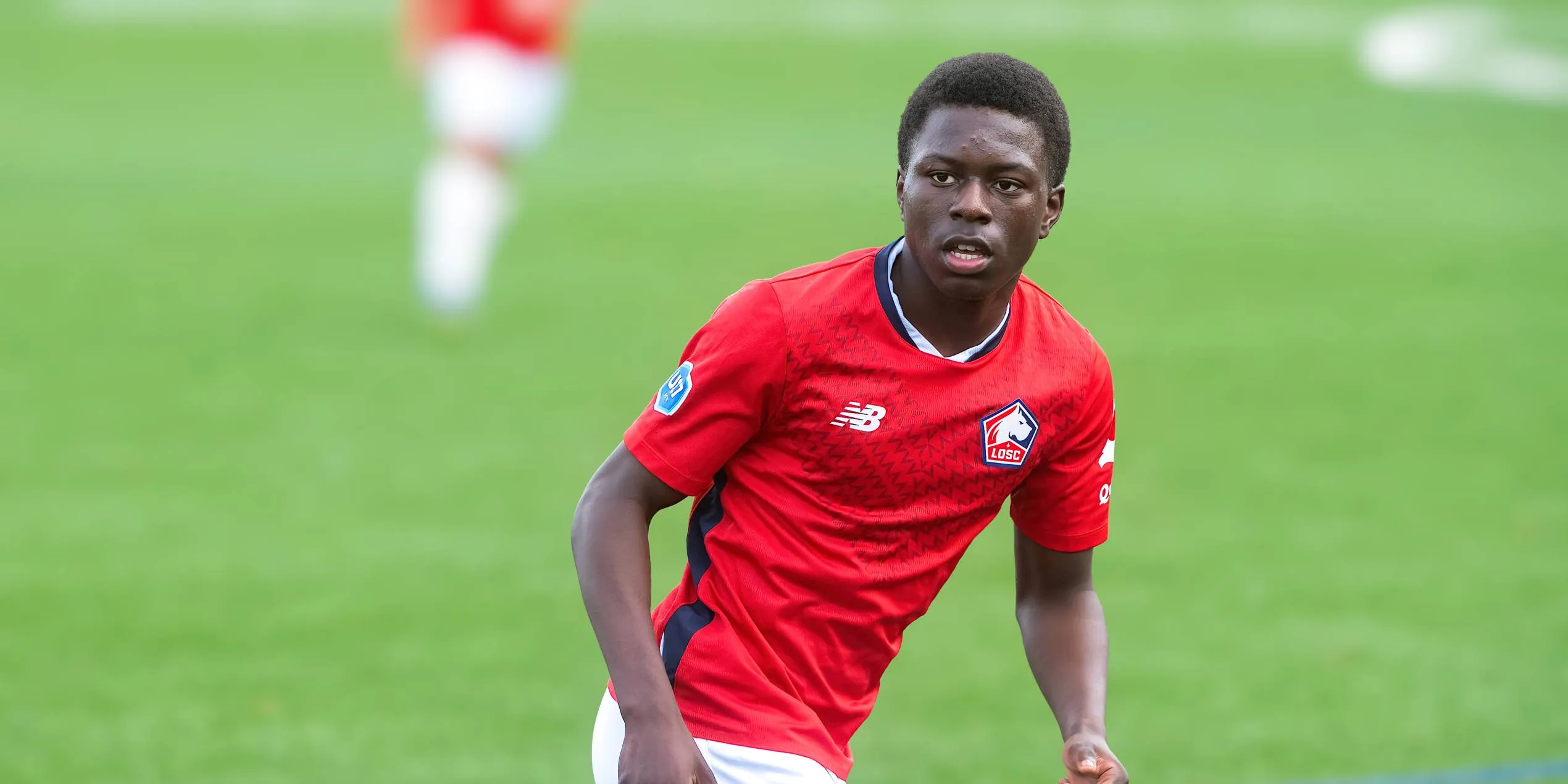 L'OM pique une pépité du LOSC