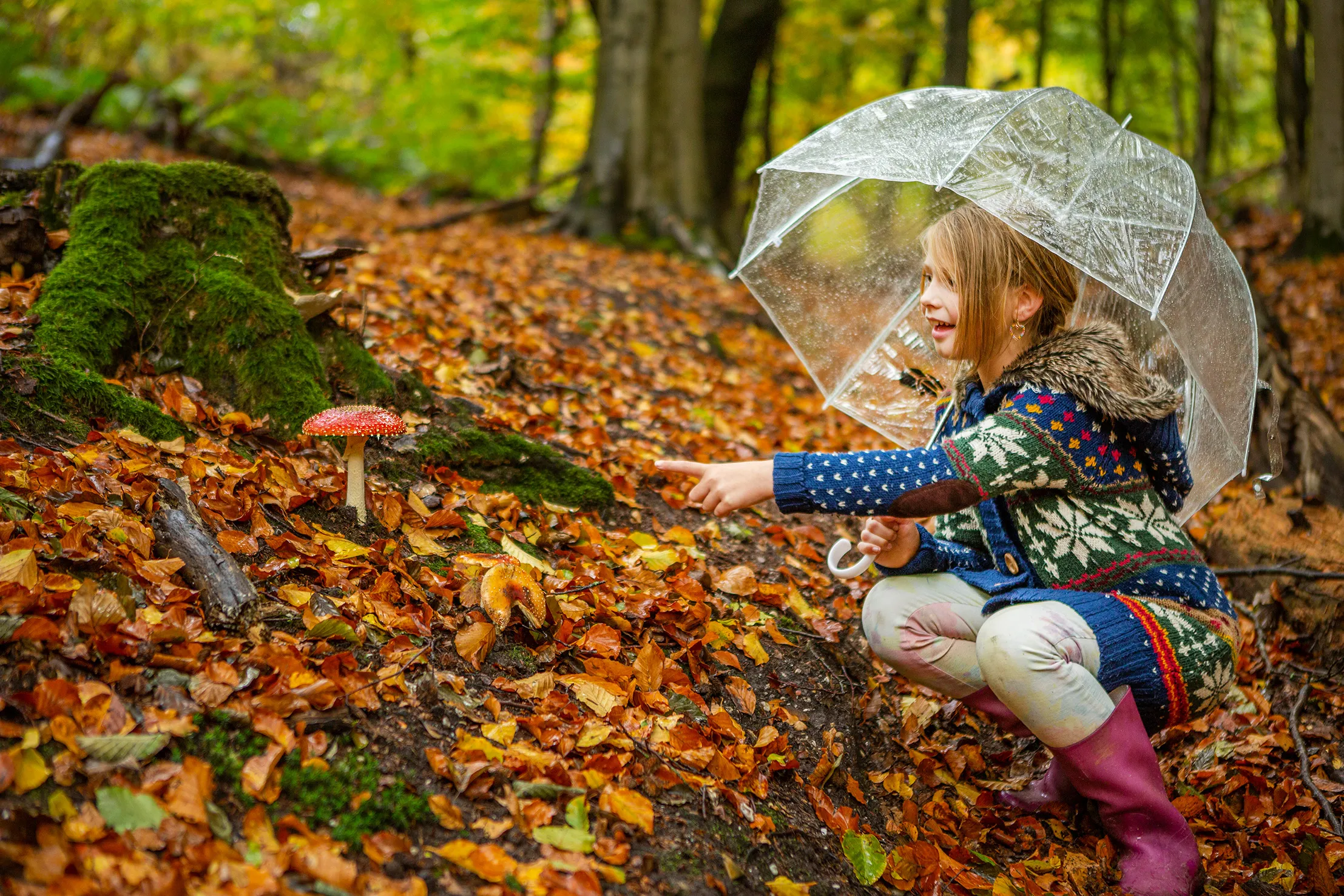 2481 e362e7754c00afdf4b2cf4e8df2eaf90