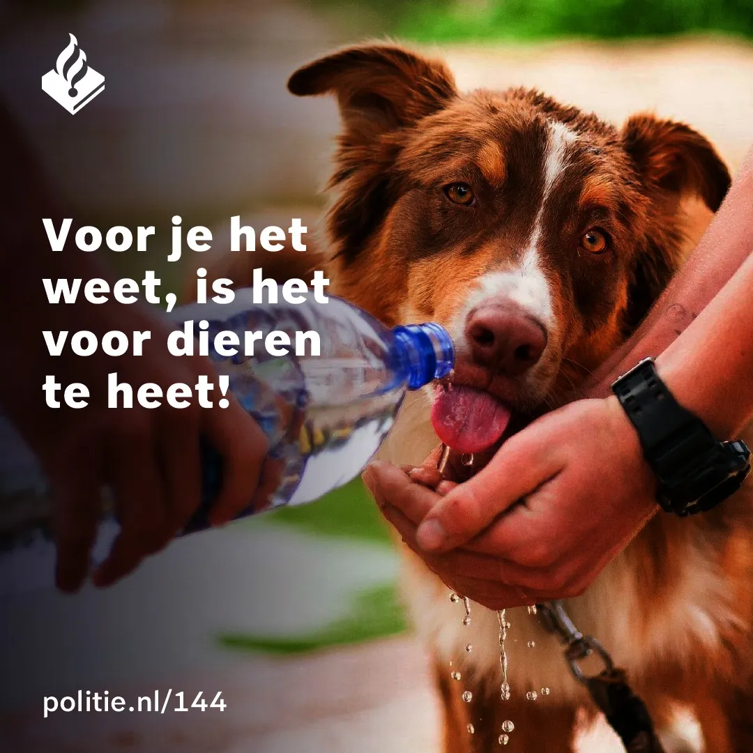 287507860 402633388558619 6015975555855688921 n