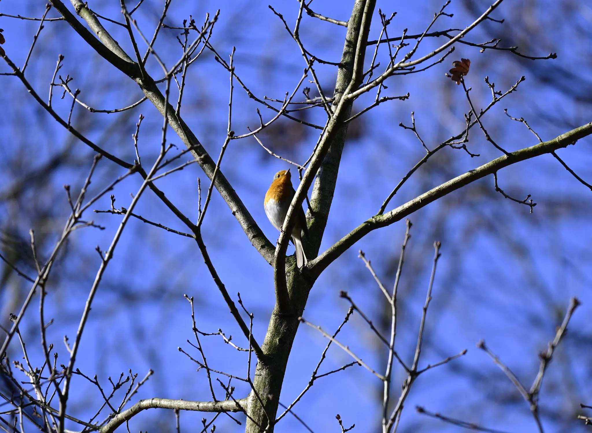 329154823 742216140607989 6420939166003557456 n