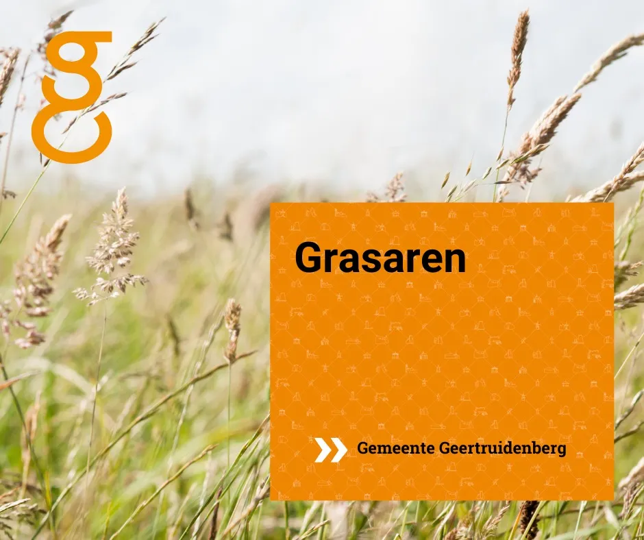 347260712 636750341830198 8147312404698016019 n