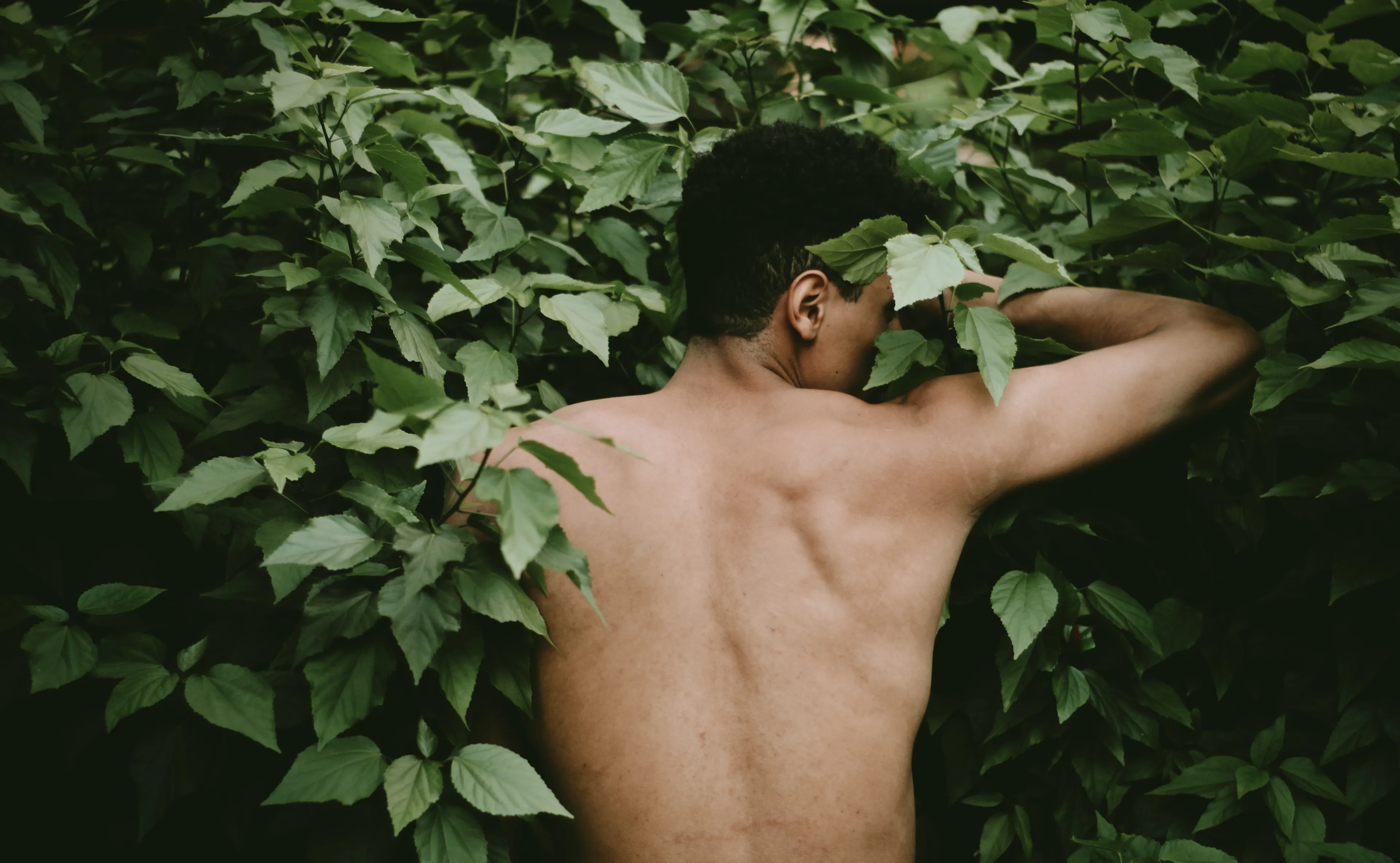 back view body green 1897430