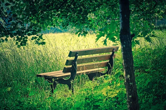 bench gfb9cd1587 640