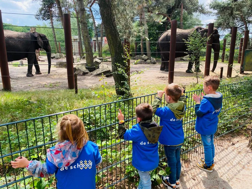 foto 3 beekse bergen