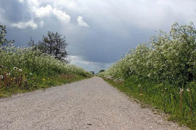 fryslan g2d694faaf 640