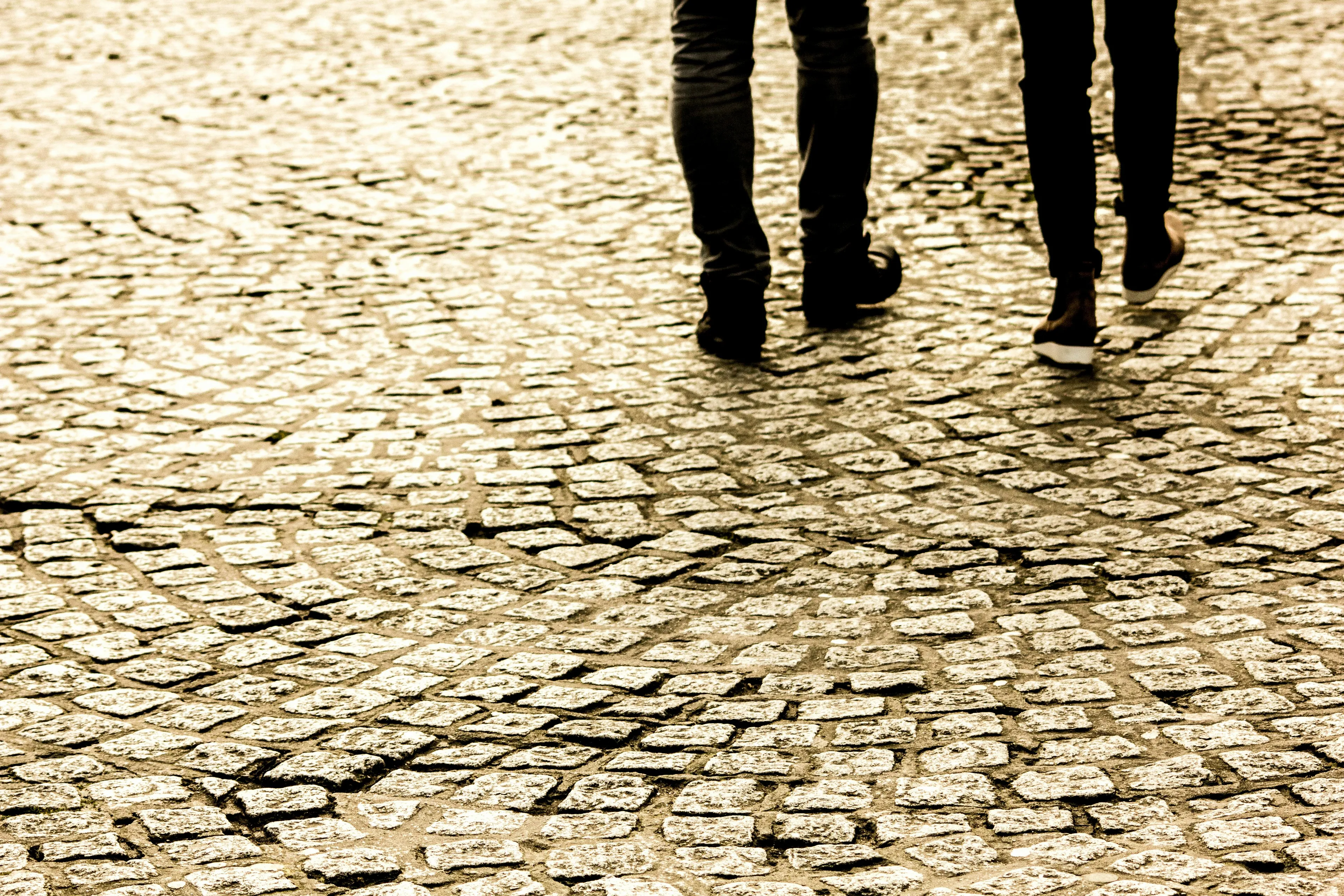 pexels mitchell cizmas 445628