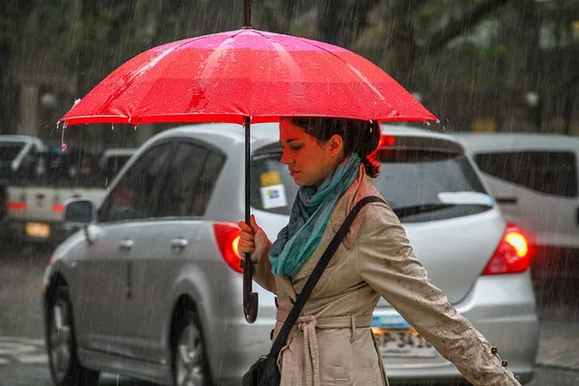 rain gccf17505f 640