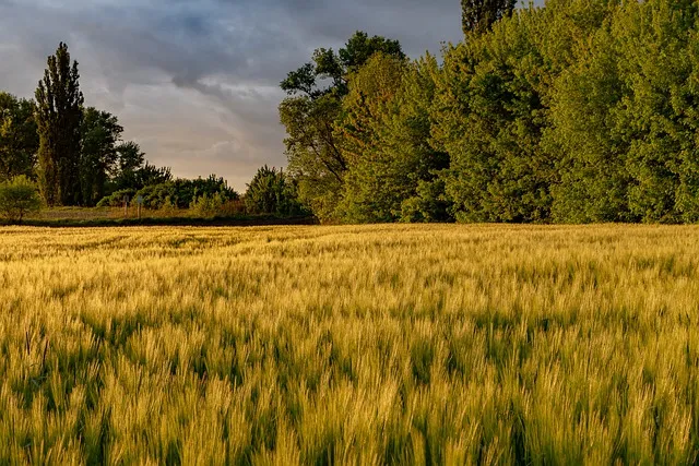 storm g1c7fcb16a 640