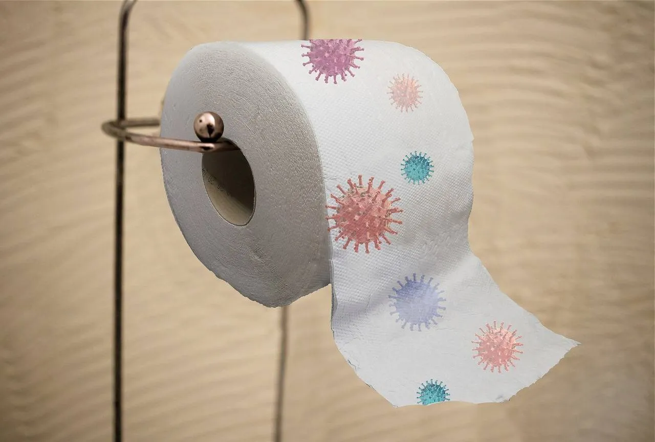 toilet-paper-5002799_1280