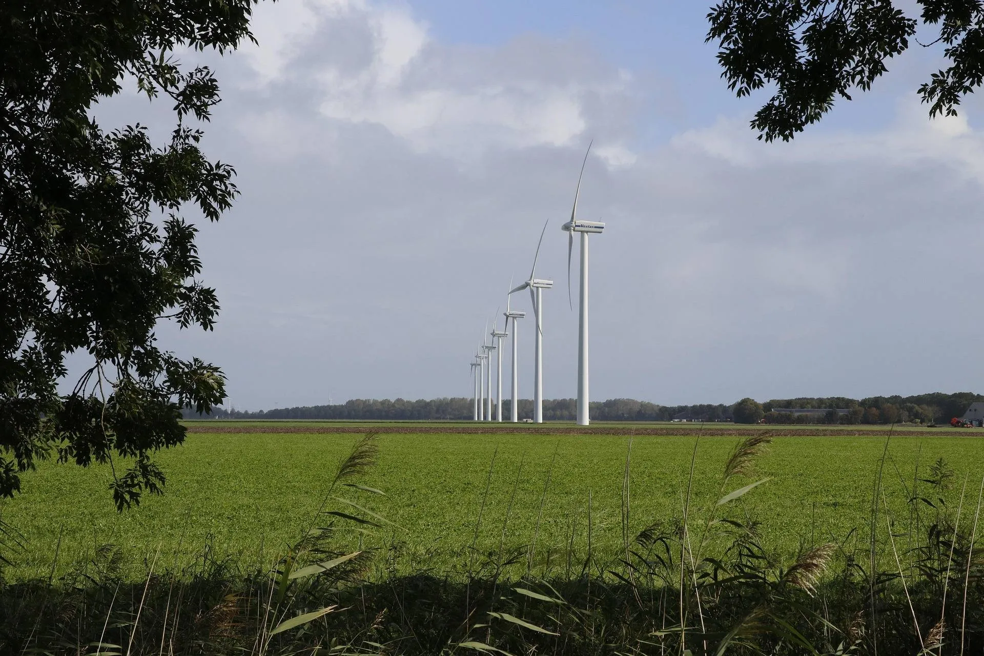 steijger-windmills-2924394_1920