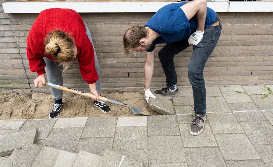 244668453 406179234488778 2700356207978971411 n